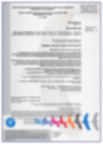 certificato1 certificato